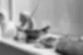 Studio-interior.webp