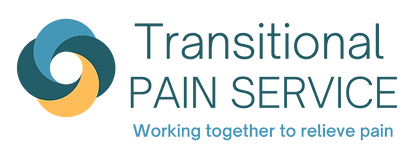 Logo TPS_Final Transparent.png