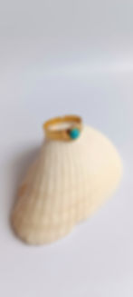 Ατσάλινο Δαχτυλίδι Τιρκουάζ | TORTORA STUDIO