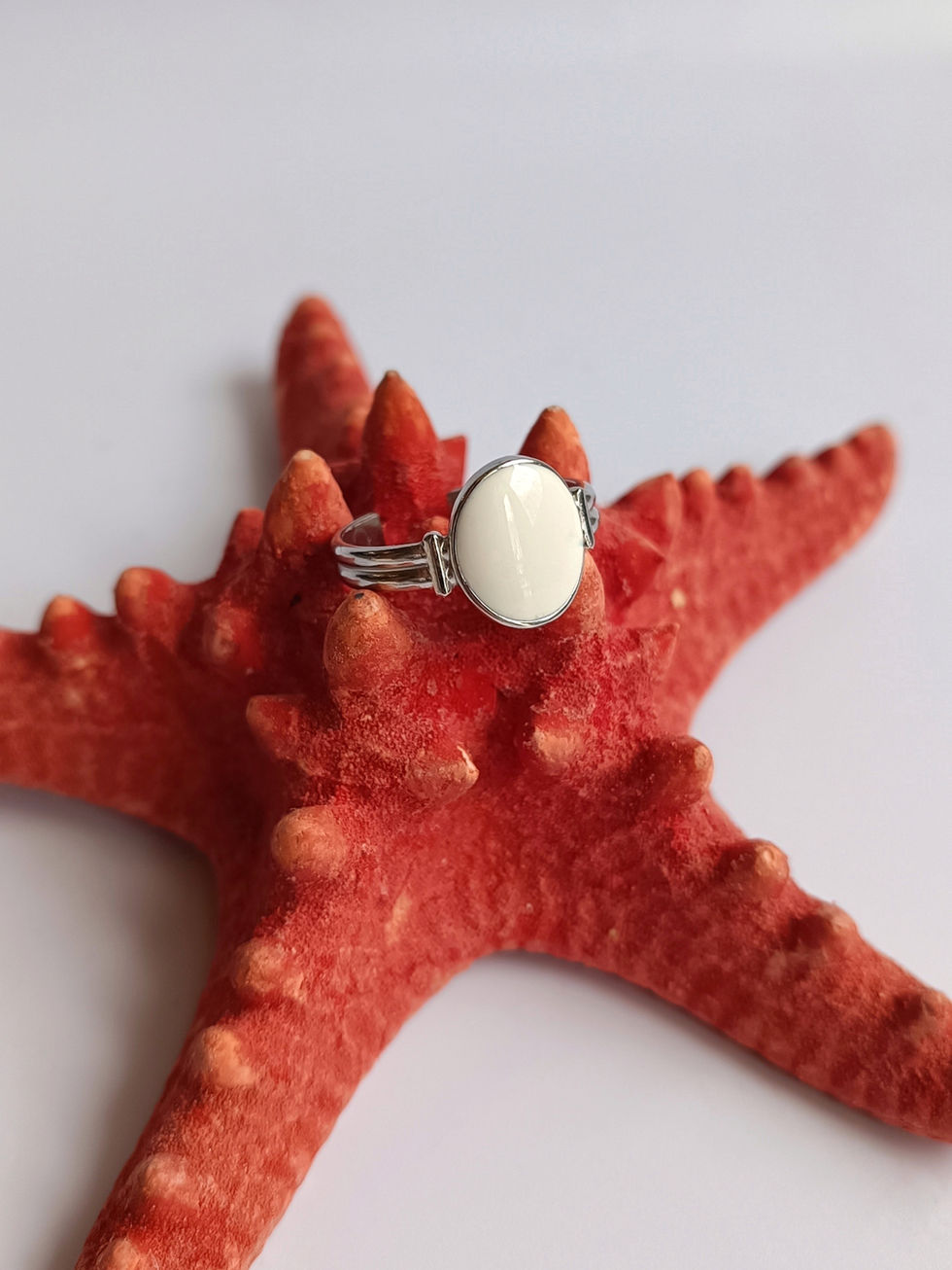 Ατσάλινο Δαχτυλίδι Με Σμάλτο | TORTORA STUDIO