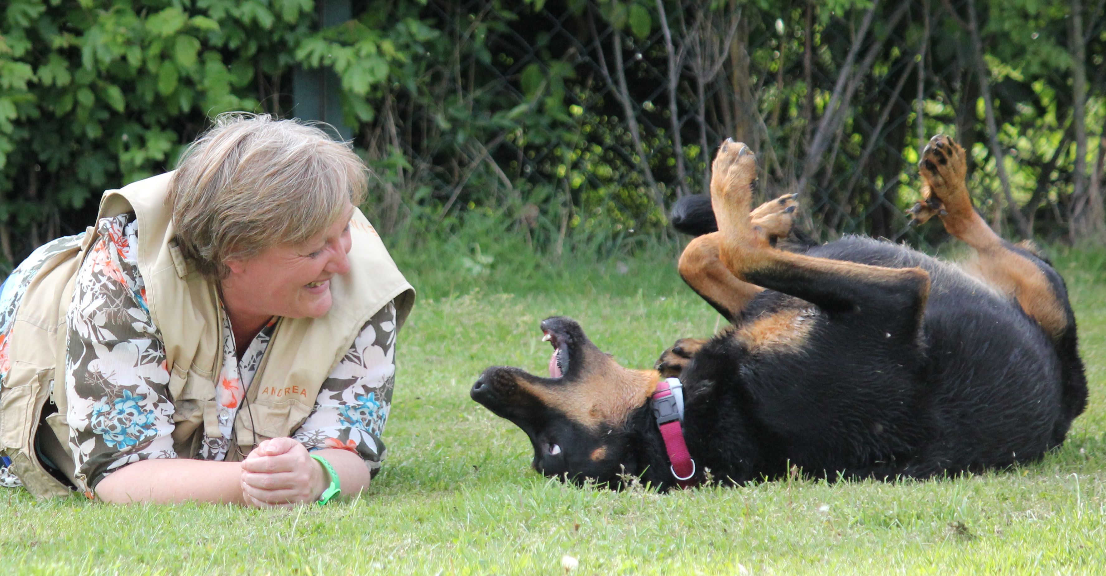 Kennenlernen hunde