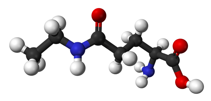 Theanine-3D-balls.png