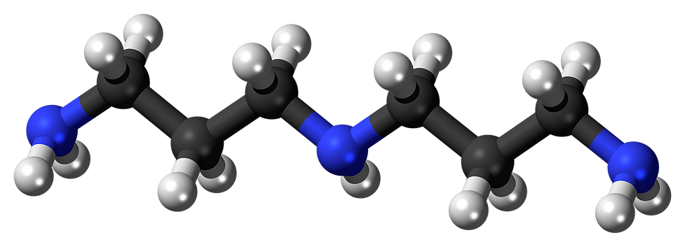 Norspermidine_molecule_ball.png