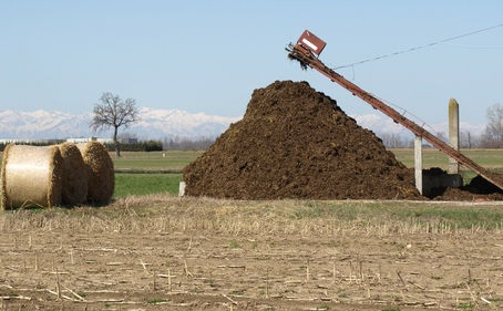 From Barn to Bedding: Sustainable Solutions for Equine Waste Management