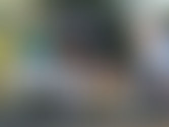 Mastering the Half Halt: Refining Communication in Dressage