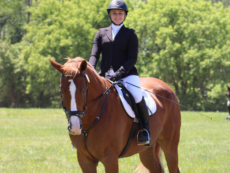 Mastering Dressage: Cultivating Elegance and Precision in Your Ride