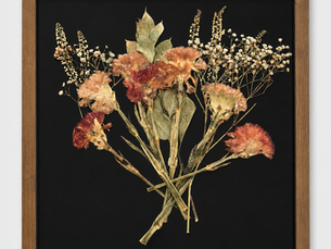 Pressed carnations and wildflowers framed on a black background, preserved by ADONIA Studios