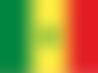 Obtention de la protection subsidiaire pour une ressortissante sénégalaise 