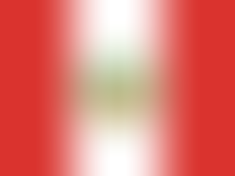 Obtention du statut de réfugié pour une femme péruvienne transgenre 