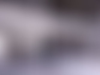 Phase One: Library Conversion Plan Underway