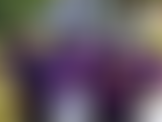 The Divine Nine: A Legacy of Empowerment and Unity at Knoxville College