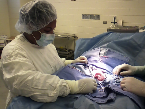 KC Alumni Spotlight: Rachel Hill, Ph.D. 05'