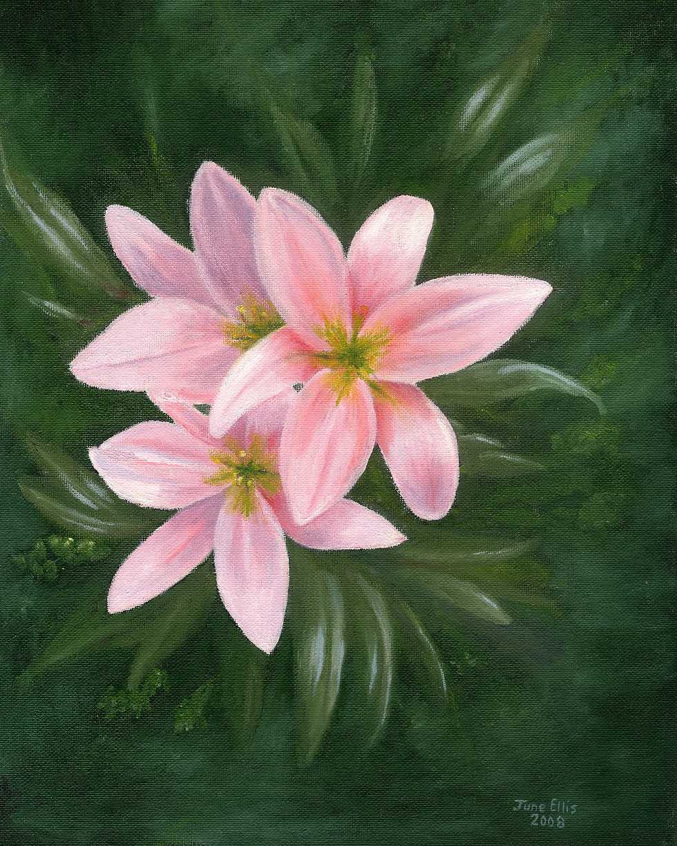 Pink Lilies is an original oil painting on 11x14 canvas shows three pink lilies in a green background
