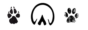 Paw Prints Logo BCCAB.png