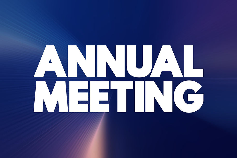 ANNUAL MEETING