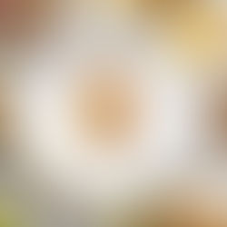 The Ultimate Beginner's Guide to Exploring Your Palate