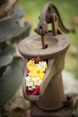 Professional wedding photographer with more than 20 years of experience