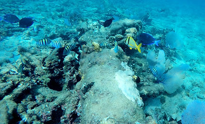 GOPR3547 a.jpg