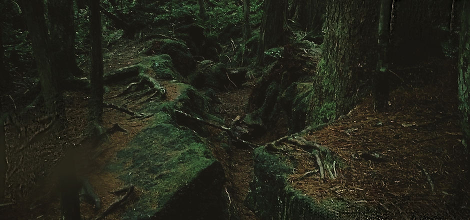 AOKIGAHARA