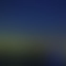 暑中お見舞い申し上げます_2023