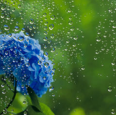 梅雨時に多い症状