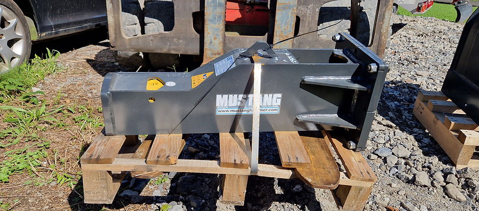 2024 Abbruchhammer Mustang HM 100