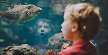 Mason_Animals-Resized_small.jpeg