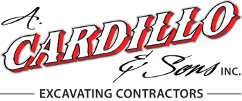 Cardillo.png