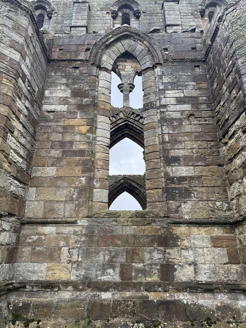 Looking through a window 