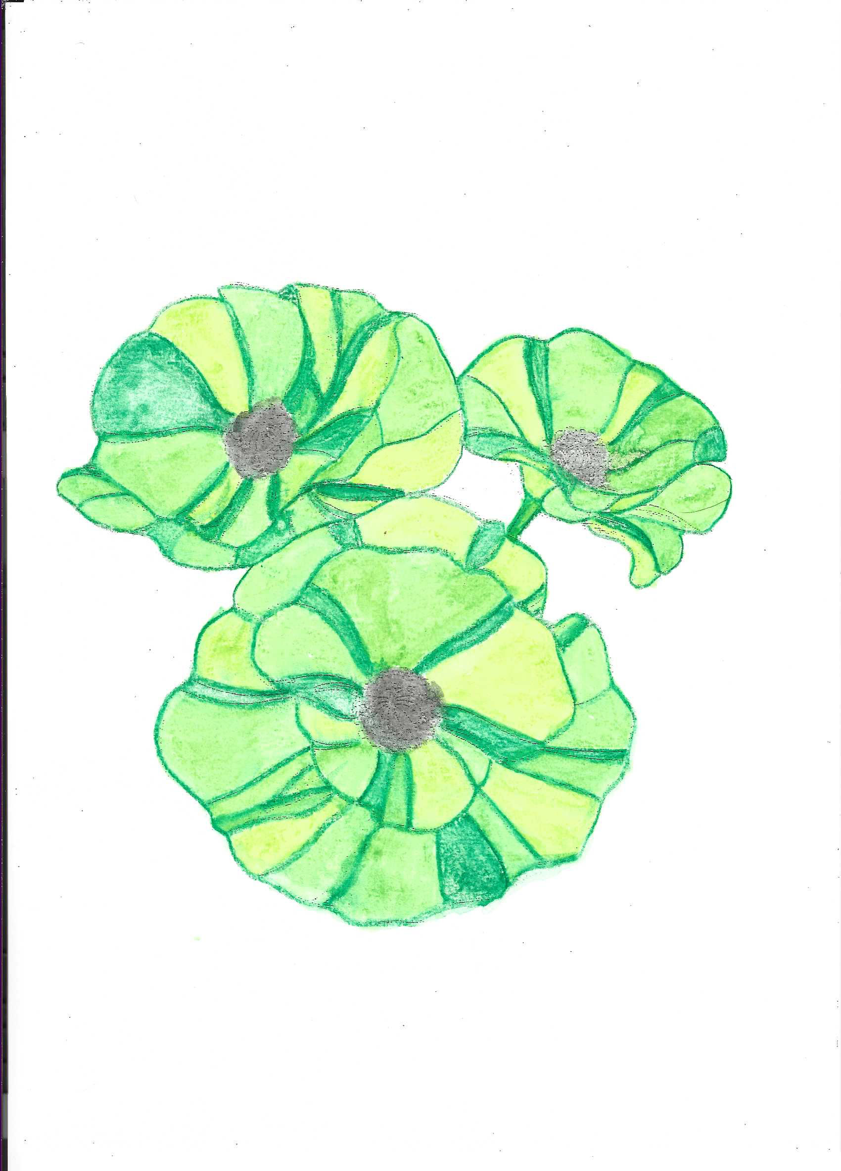 Poppy Green 210 x 297 mm Digital File