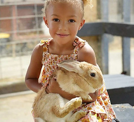 Girl in Bunnyland.jpg