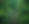 Dino Background_edited.png