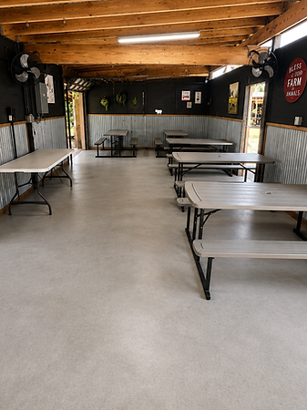 Picnic Space.png
