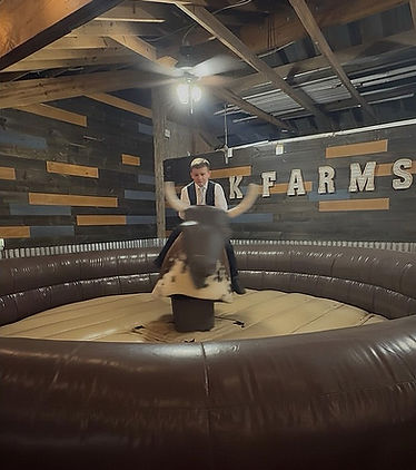 Bull Ride_edited.jpg