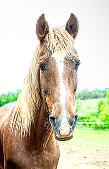 Kristin Lebben Photography-448_edited.jp