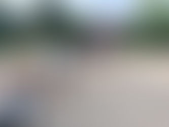 “Wellness, Whinnies, and New Ways to Connect- Our July Adventures”