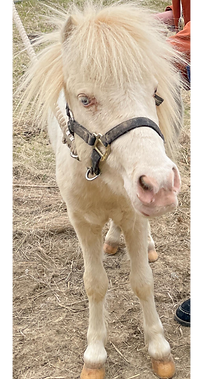 Kristin Lebben-562_edited_edited_edited.