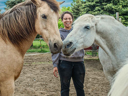 Love, Not Labor: The New Story of Horses and Humanity