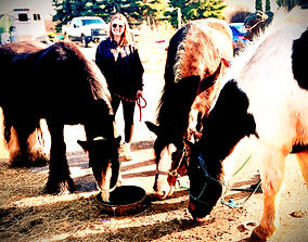 IMG_1536 4_edited_edited_edited.jpg