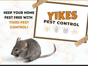 Bubonic Plague & Indiana Rats: Should You Be Concerned?