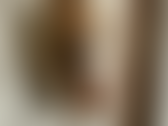 German vs. American Roaches: Which One Is Infesting Your Evansville Home?