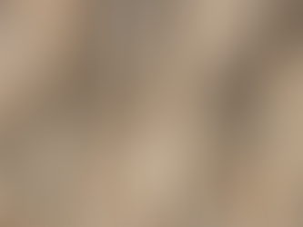 Spring Termite Swarms in Southwestern Indiana: What Homeowners Should Watch For