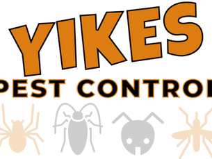 How do you get rid of ants in your Indiana house?