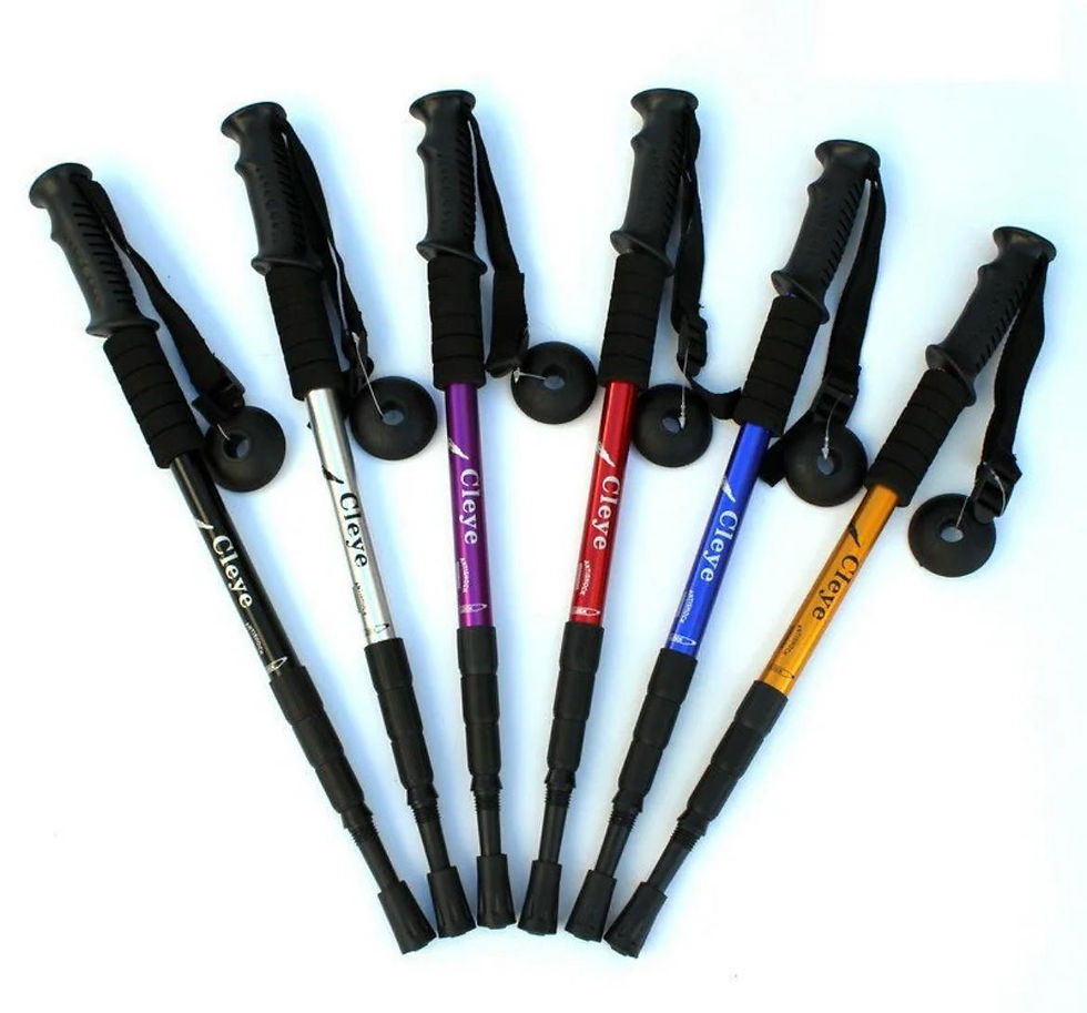 Hiking poles