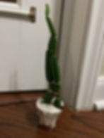ree