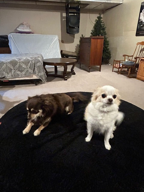 image1[1].jpeg