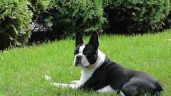 48425345_516839728817837_844857540283360