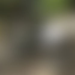 【WORKS】説明碑