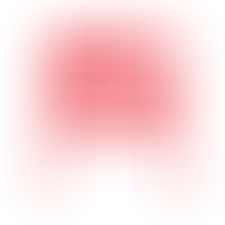 お問合せについて