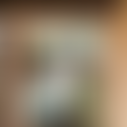 【WORKS】ガリバーくんの焼きたてチーズケーキ 様